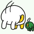 근력 강화 필라테스 이미지