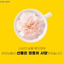 광진 합기도&주짓수 이미지