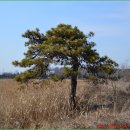 인공 + 자연 이미지