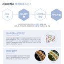 헤어카페이데아 이미지