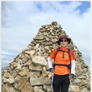 수강약국 이미지