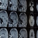 주식회사 테스프 이미지