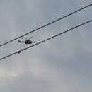 구의 행정사사무소 이미지