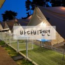 아리솔펜션 | 태안 안면도 반려견동반 바다비펜션 아리솔 7호 묵은 후기