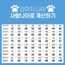 강아지 / 고양이 나이 사람 나이로 계산하기 이미지