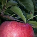 선재농장 이미지