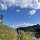 산호야관광농원 | 경북 구미) 산호야 관광농원 캠핑장/ 5갤 장박 후기