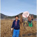 새통영농협하나로마트 네이버블로그