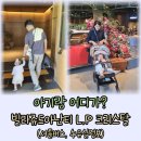 센트바이써니 | 부산 아기랑 놀러가기 좋은 곳 빌라쥬드아난티 (아난티코브에서 셔틀버스, 수유실 정보)