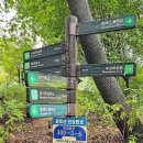 봉제산 무궁화공원 이미지