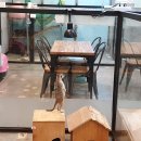 미어캣인더시티 이미지