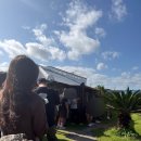 제주동쪽 | 제주 동쪽 맛집 말젯문, 오픈런 웨이팅 내돈내산 후기