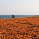 신천목장 이미지