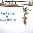 Friend-친구