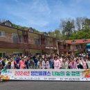 팔레스 이미지