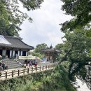 약수 낚시터 | 부여 가볼만한곳 3 고란사 낙화암 유람선 타고 회춘해요
