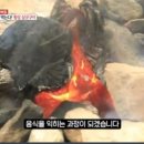 새아침민박 이미지