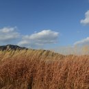 한국관광공사 추천 12월 걷기여행길, 찬란하고 청량한 겨울풍경의 참맛,서해바다를 걷자 이미지