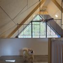 (주)반스힐리조트 주6동 | 홍천 애견동반 펜션 중 만족도 높았던 반스힐리조트 리얼 후기