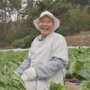 유정사