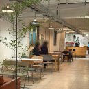 씨유 안양박달중앙점 | 안양 댕리단길카페 분위기 좋은 스태그커피 박달점