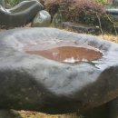 안골농장 이미지