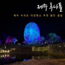 루나폴 | 제주 서귀포 가볼만한곳 야외 미디어아트 야경명소 추천 루나폴 할인 후기