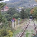 문경자연생태박물관 이미지