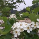 대실슈퍼