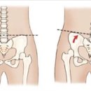 핏버디짐 이미지