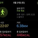몬스터샐러드 이미지
