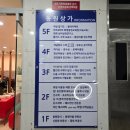블루니네일