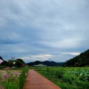 대평공원 화장실 이미지