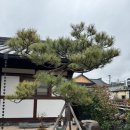 [경주여행] 경주 황리단길 숙소 한옥스테이 만월재