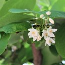 심천치유자연휴양림 이미지