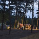 침벽캠핑장 이미지