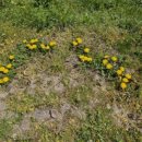 이정훈내과의원 이미지