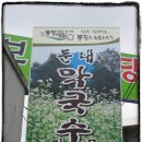 팔도막국수 이미지