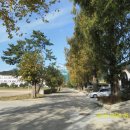 함평골프고등학교 이미지