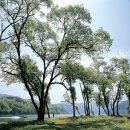 현충탑교차로 이미지