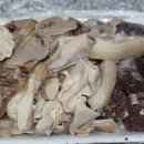 영양순대국밥 이미지