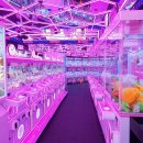 모모스테이션 홍대점 이미지