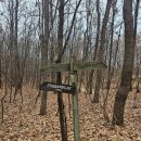 상계숲속작은도서관 | 동화 속 숲에 들어온 것 같았던 건지산숲속작은도서관 솔직후기