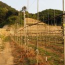 원준농장 이미지