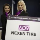 퍼플타이어 이미지