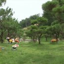 영현목장 이미지