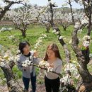 좋은나무 이미지