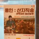 이마트24용인역북점 | 용인 역북 24시 무인 계란 직판장 "스탠다드에그 역북점" 방문 후기 (내돈내산)