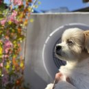 컴페니언바이주문진 이미지