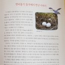 권오준 농장 네이버블로그